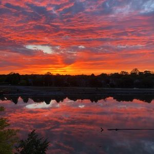 Meet your Posher, Cherry